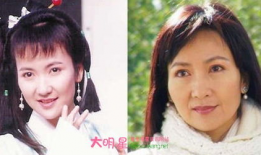 陈美琪演过的电视剧